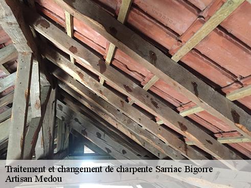 traitement-et-changement-de-charpente-artisan-medou-1