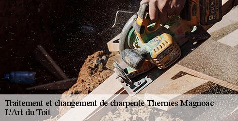 traitement-et-changement-de-charpente-l-art-du-toit-10