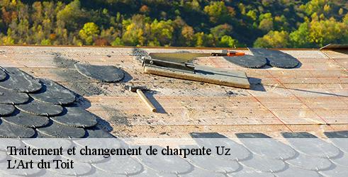 traitement-et-changement-de-charpente-l-art-du-toit-1