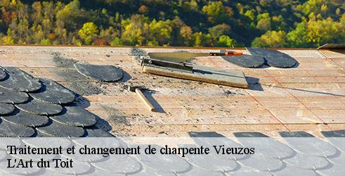 traitement-et-changement-de-charpente-l-art-du-toit-1