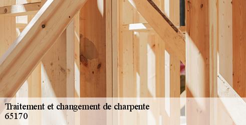 traitement-et-changement-de-charpente-l-art-du-toit-5