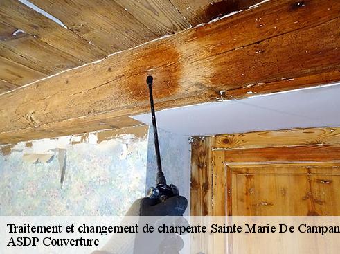 traitement-et-changement-de-charpente-asdp-couverture-4