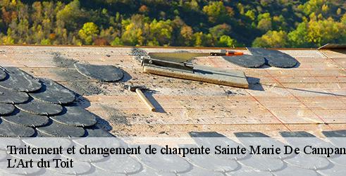 traitement-et-changement-de-charpente-l-art-du-toit-1