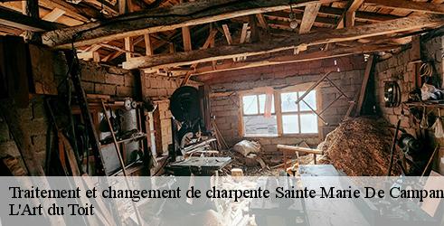 traitement-et-changement-de-charpente-l-art-du-toit-4