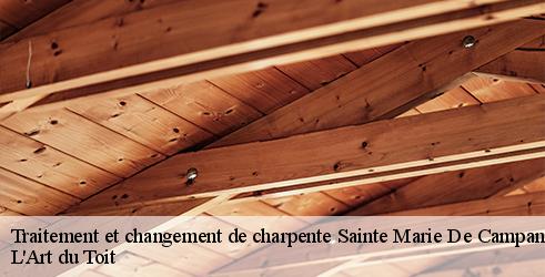 traitement-et-changement-de-charpente-l-art-du-toit-7