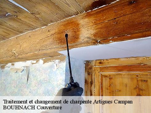 Traitement et changement de charpente artigues-campan-65710 BOUHNACH Couverture