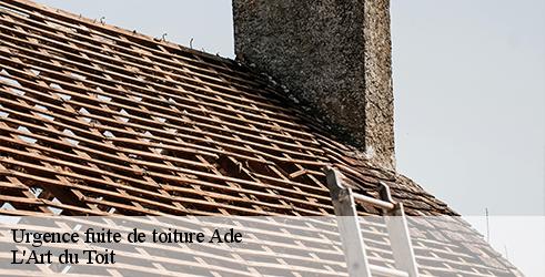 urgence-fuite-de-toiture-l-art-du-toit-4