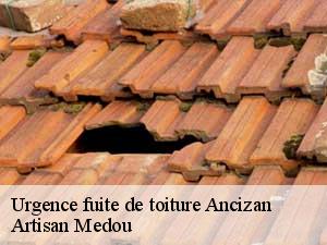 Urgence fuite de toiture  ancizan-65440 Artisan Medou