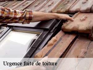 Urgence fuite de toiture  65690