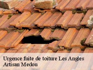 Urgence fuite de toiture  les-angles-65100 Artisan Medou