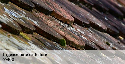 urgence-fuite-de-toiture-l-art-du-toit-2