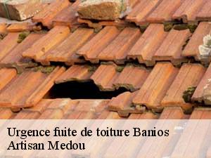 Urgence fuite de toiture  banios-65200 Artisan Medou