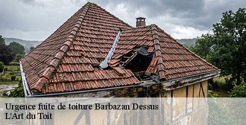 urgence-fuite-de-toiture-l-art-du-toit-1