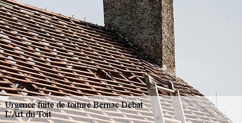 urgence-fuite-de-toiture-l-art-du-toit-4