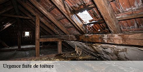 urgence-fuite-de-toiture-l-art-du-toit-6