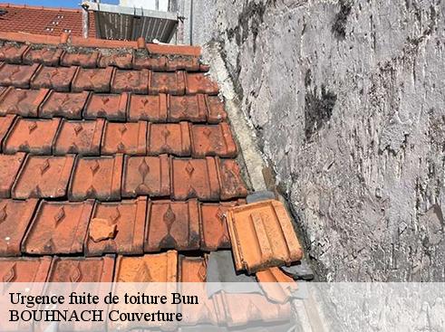Urgence fuite de toiture bun-65400 Artisan Medou