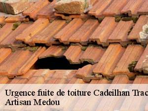 Urgence fuite de toiture  cadeilhan-trachere-65170 Artisan Medou