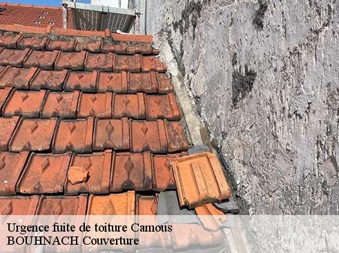 Urgence fuite de toiture  camous-65410 Artisan Medou