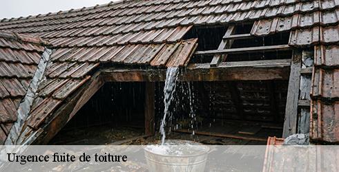 urgence-fuite-de-toiture-l-art-du-toit-9