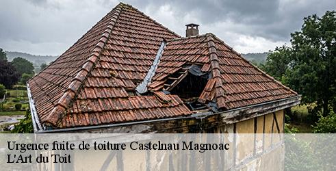 urgence-fuite-de-toiture-l-art-du-toit-1