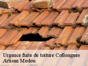 Urgence fuite de toiture  collongues-65350 Artisan Medou