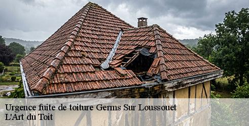 urgence-fuite-de-toiture-l-art-du-toit-1
