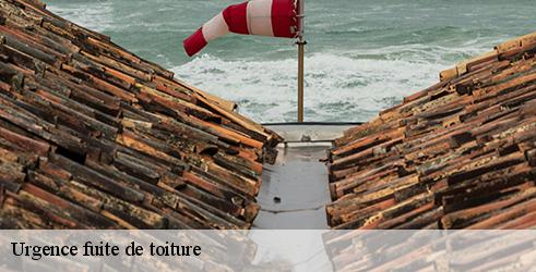 urgence-fuite-de-toiture-l-art-du-toit-3