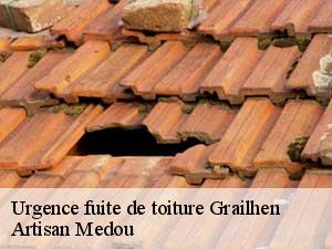 Urgence fuite de toiture  grailhen-65170 Artisan Medou