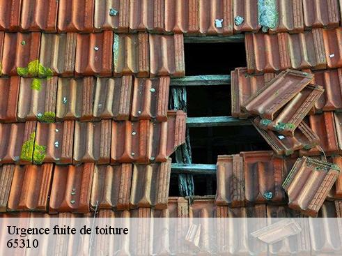 Urgence fuite de toiture 65310