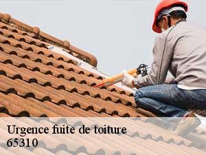 Urgence fuite de toiture 65310