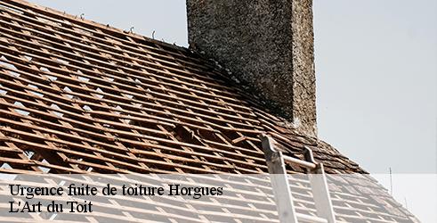 urgence-fuite-de-toiture-l-art-du-toit-4