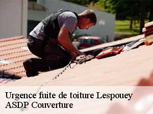 urgence-fuite-de-toiture-asdp-couverture-7