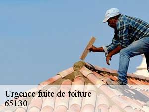 Urgence fuite de toiture