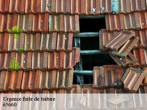 Urgence fuite de toiture 65660