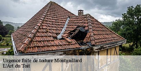 urgence-fuite-de-toiture-l-art-du-toit-1