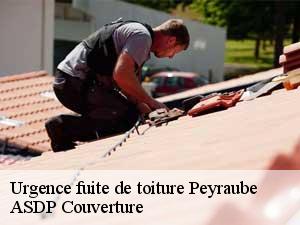 urgence-fuite-de-toiture-asdp-couverture-7