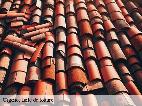 urgence-fuite-de-toiture-asdp-couverture-3