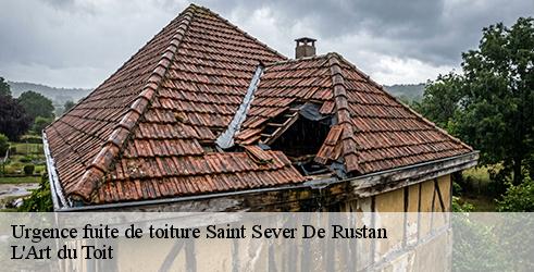 urgence-fuite-de-toiture-l-art-du-toit-1