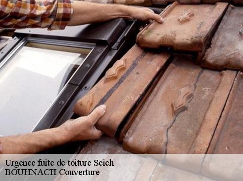 Urgence fuite de toiture 65150