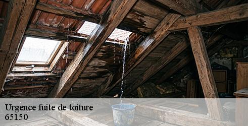 urgence-fuite-de-toiture-l-art-du-toit-8