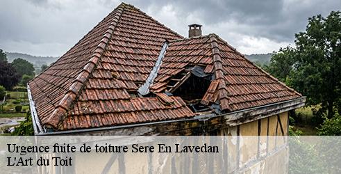 urgence-fuite-de-toiture-l-art-du-toit-1
