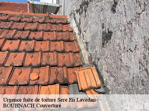 Urgence fuite de toiture sere-en-lavedan-65400