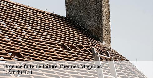 urgence-fuite-de-toiture-l-art-du-toit-4