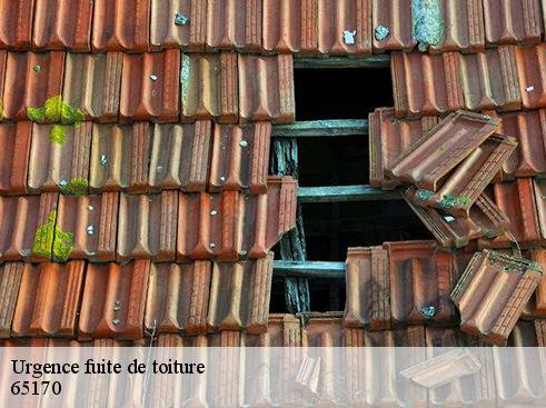 Urgence fuite de toiture 65170