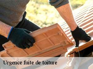 Urgence fuite de toiture