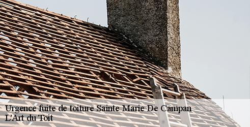 urgence-fuite-de-toiture-l-art-du-toit-4