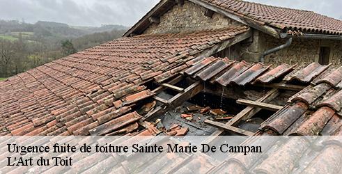 urgence-fuite-de-toiture-l-art-du-toit-7