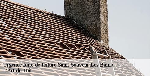 urgence-fuite-de-toiture-l-art-du-toit-4