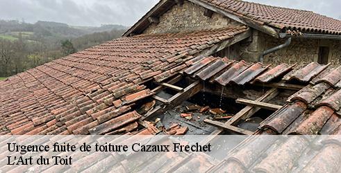 urgence-fuite-de-toiture-l-art-du-toit-7