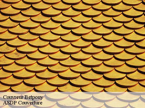 couvreur-asdp-couverture-4